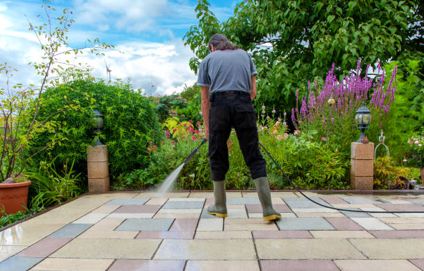 Best Fence Cleaning  in Bernalillo, NM